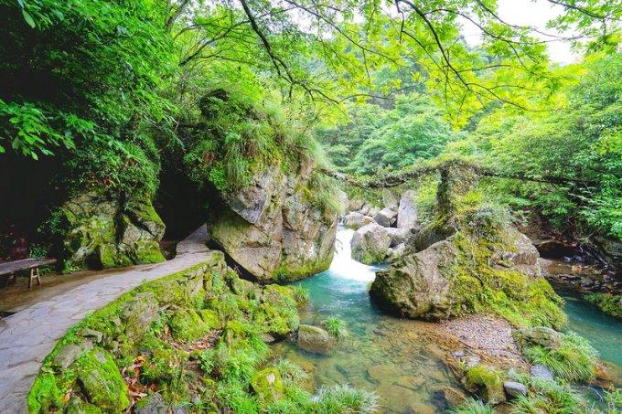 虫虫助手下载